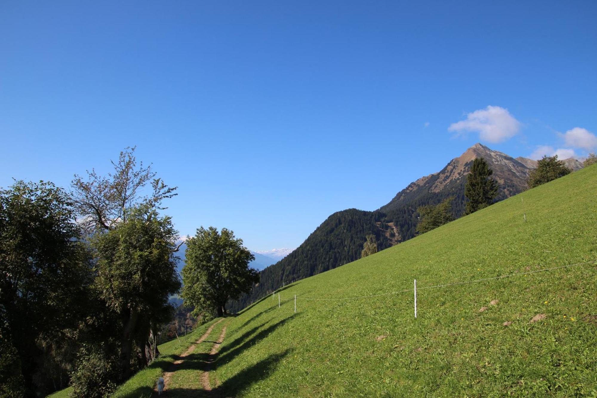 Hotel Gasthof Walde Rifiano Exterior foto