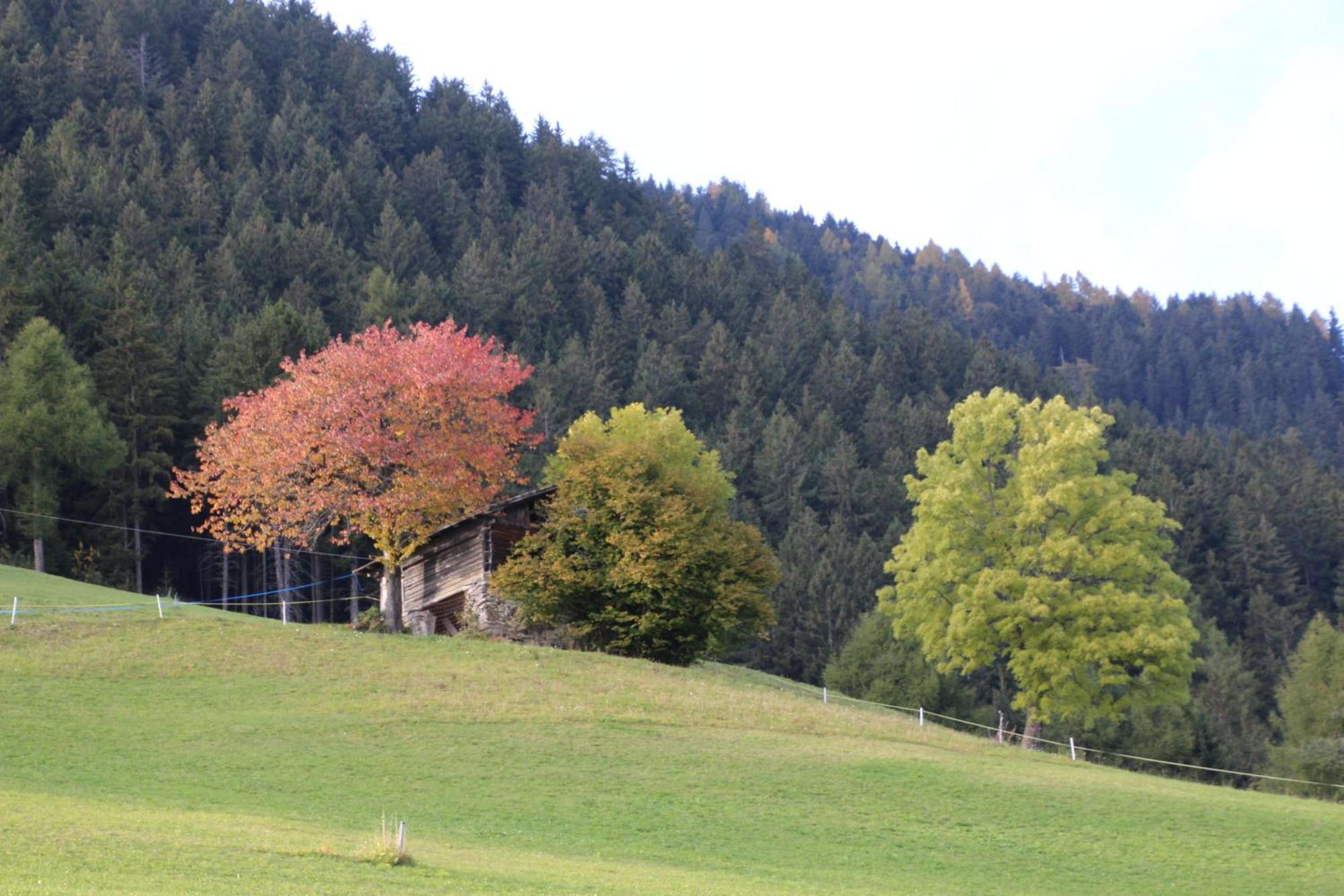 Hotel Gasthof Walde Rifiano Exterior foto